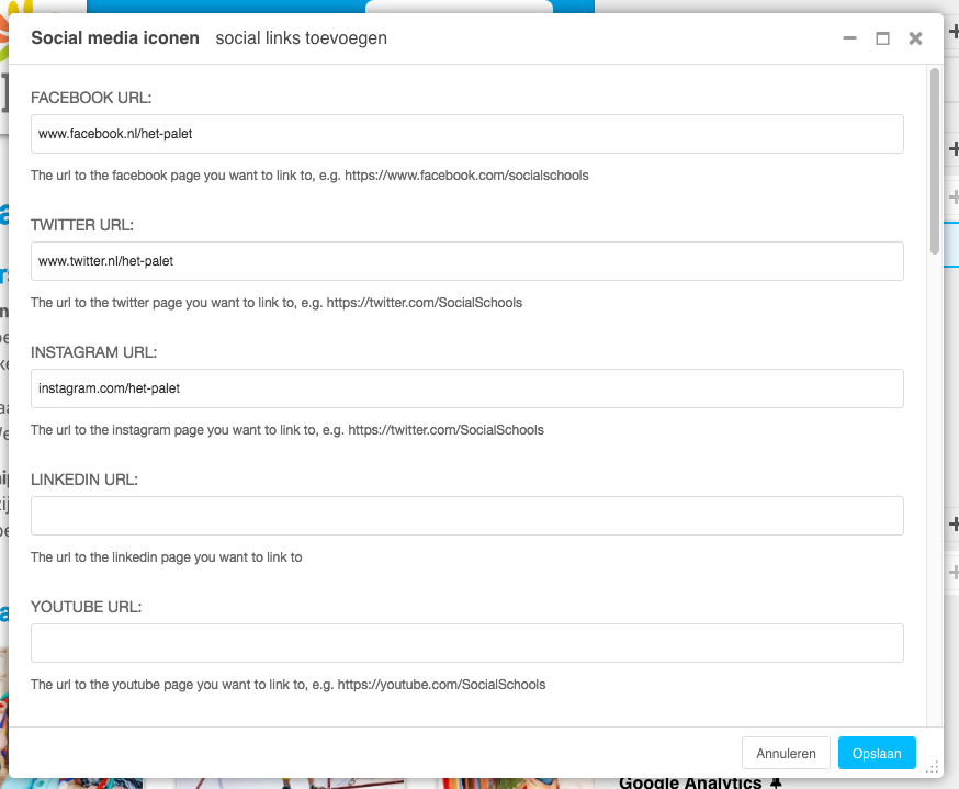 02_-_social_media_iconen_plugin_invullen.png